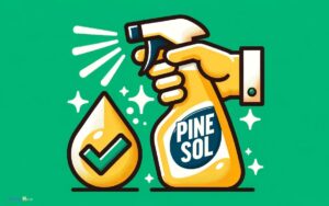 Can You Put Pine Sol In A Spray Bottle