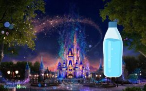 Can You Take A Water Bottle Into Disney World