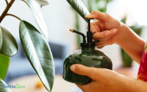 Can You Use A Spray Bottle To Mist Plants