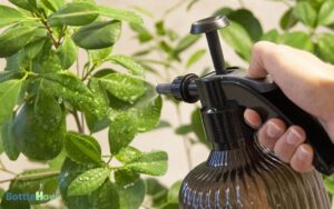 Spray Bottle To Increase Humidity